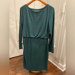 Ann Taylor LOFT long sleeve dress (Large)